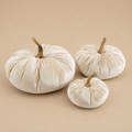 Fluwelen Pompoenen - set van 3
