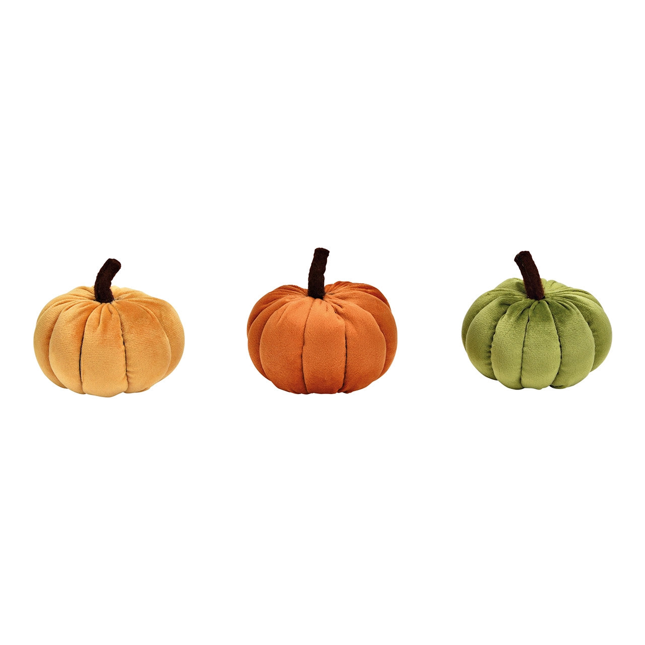 Fluwelen Pompoenen Set